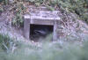 Little Penguin nestbox (rugekasse for dvergpingvin, Eudyptula  novaehollandiae)